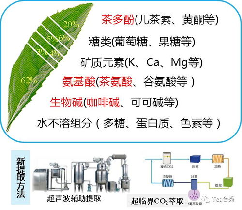 基于食品工業的茶業機會