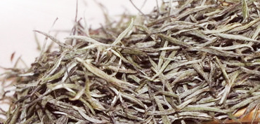 福鼎白茶如春茶業(yè):如春牌、如初、有機白茶、