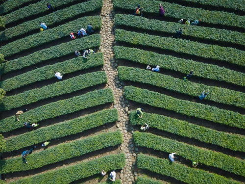 沿著高速看中國(guó) 走進(jìn)高速網(wǎng)紅服務(wù)區(qū)