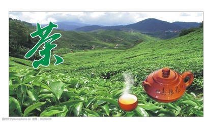 茶業(yè)茶行背景