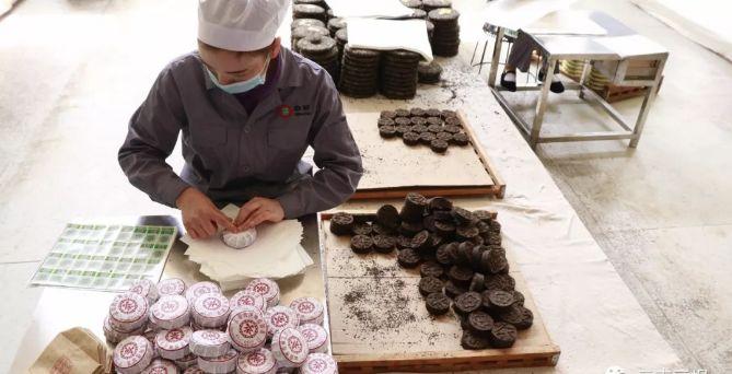 茶業(yè)大鱷重回勐海,國飲中茶王者歸來!